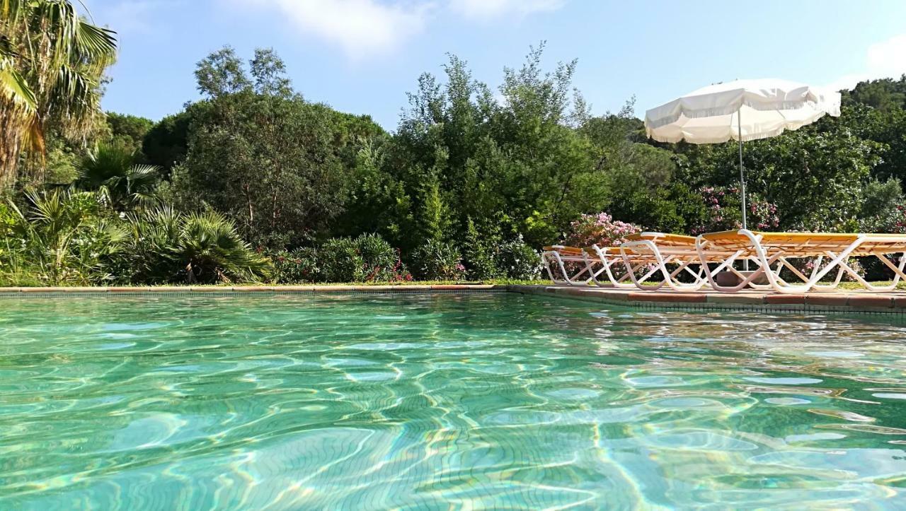 1321 Route De L'Escalet Villa Les Oliviers Ramatuelle Zewnętrze zdjęcie